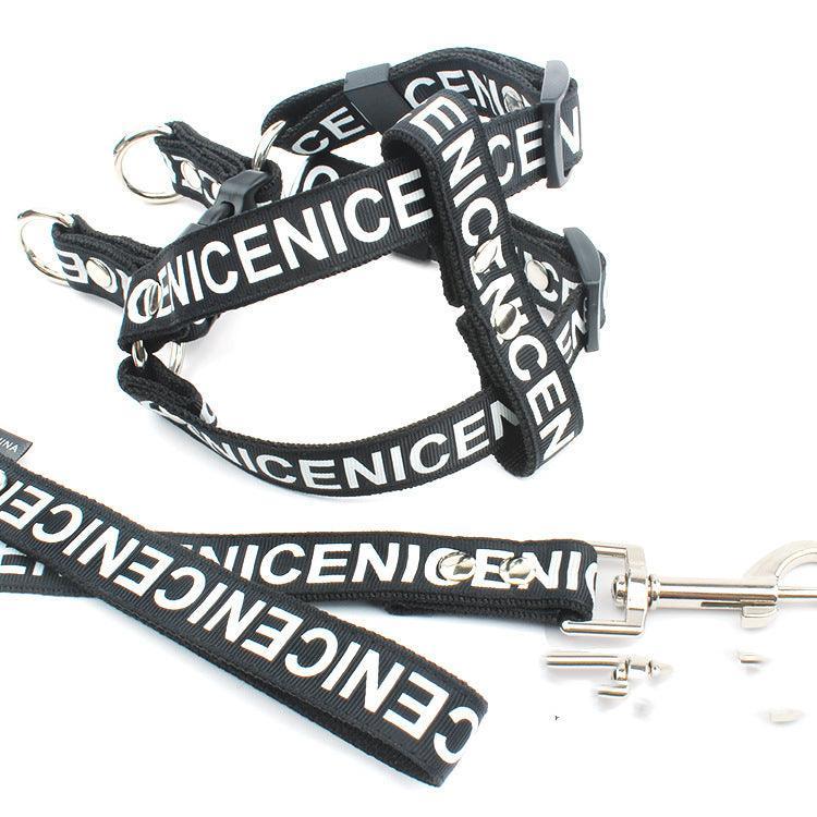 Adventure Paws Nylon Pet Leash And Collar Set-1