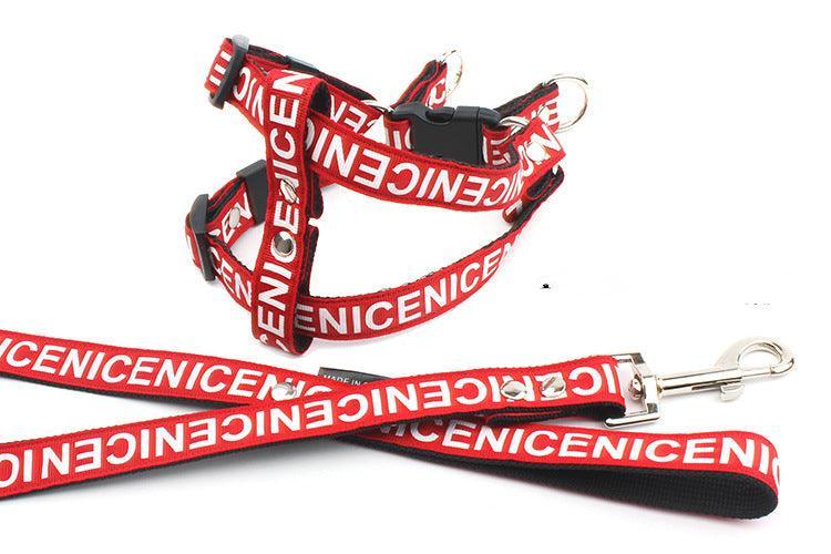 Adventure Paws Nylon Pet Leash And Collar Set-4