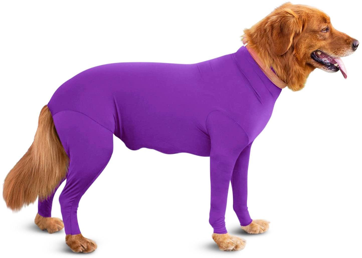 Alluring Four-Legged Elastic Pet Clothing For Autumn And Winter-2
